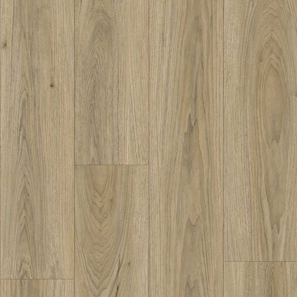 Benchmark-Acoustic-Brindle