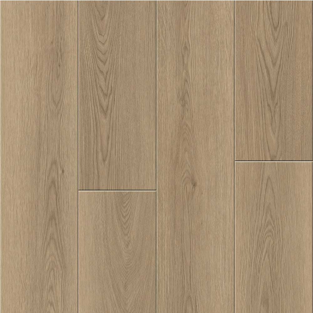 Benchmark-Acoustic-Moccasin